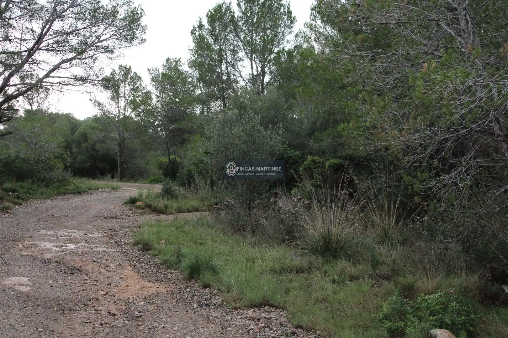 Terrenys i solars en venda a partida torres novas  lindante con el barranco porquerola y a poniente con el termino de pradit  es la parcela  del poligono, imagen 11