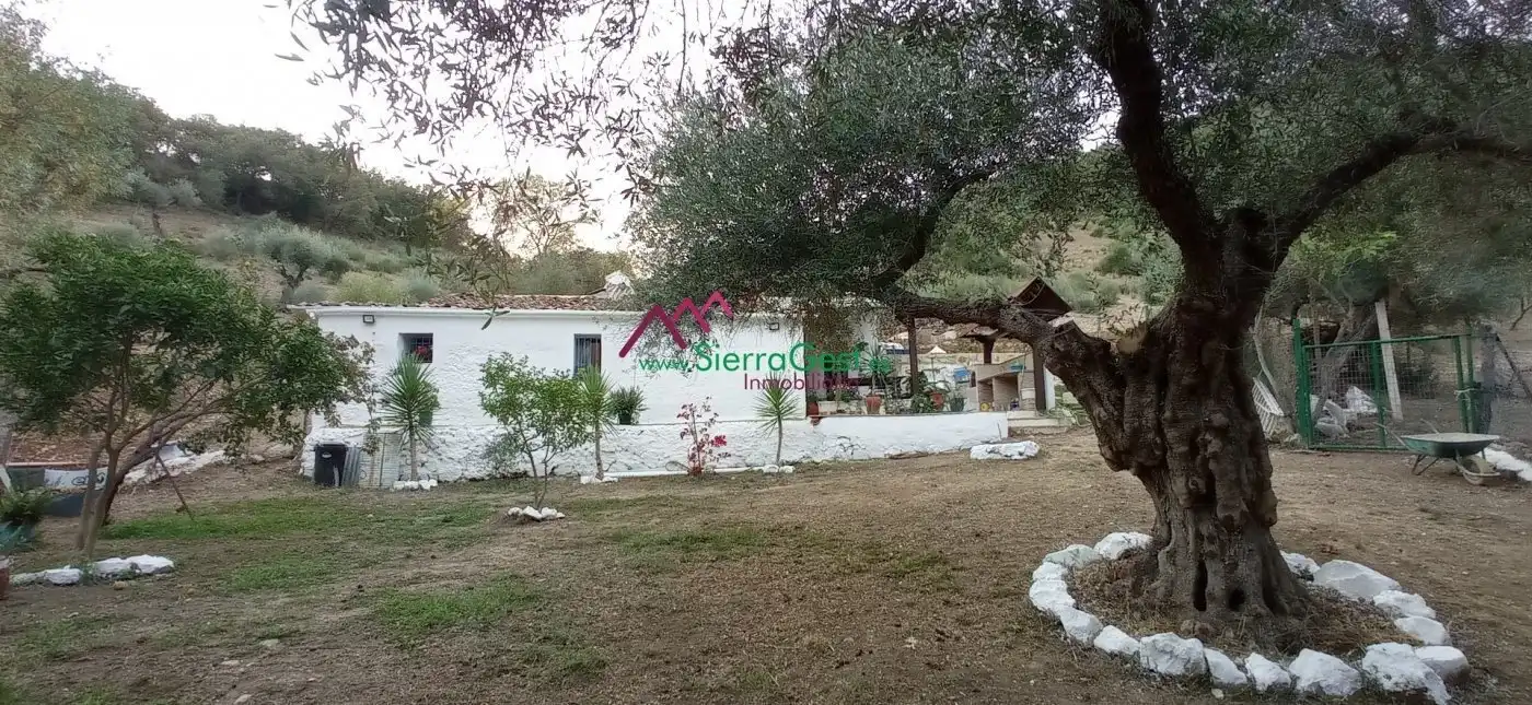 Terreni e lotti in vendita a Benaocaz, imagen 4