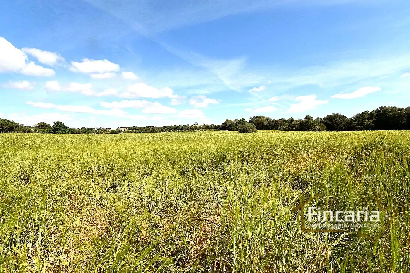 Lands and plots for sale in Ma-5120, imagen 15