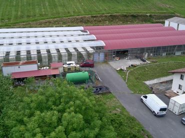 Terreno rustico in vendita a Calle BAKIO BIDEA