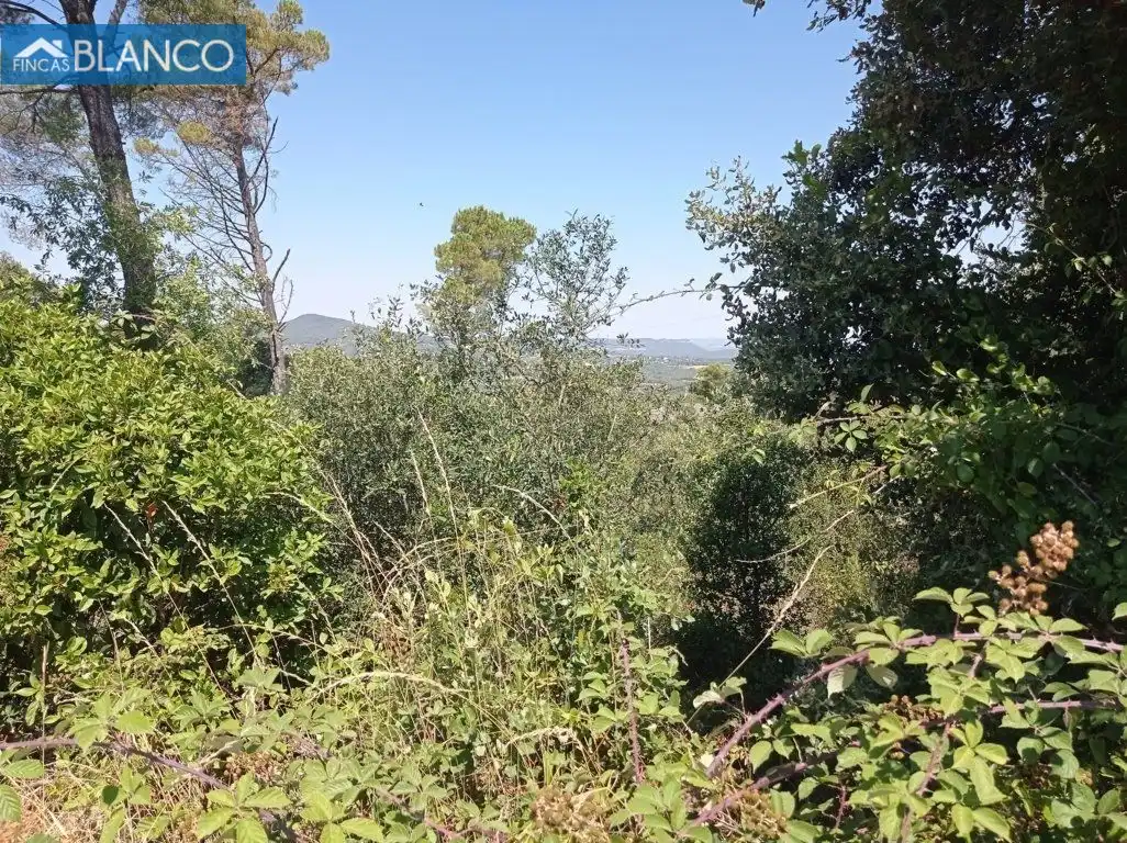 Residential for sale in Calle Montserrat, Mediona