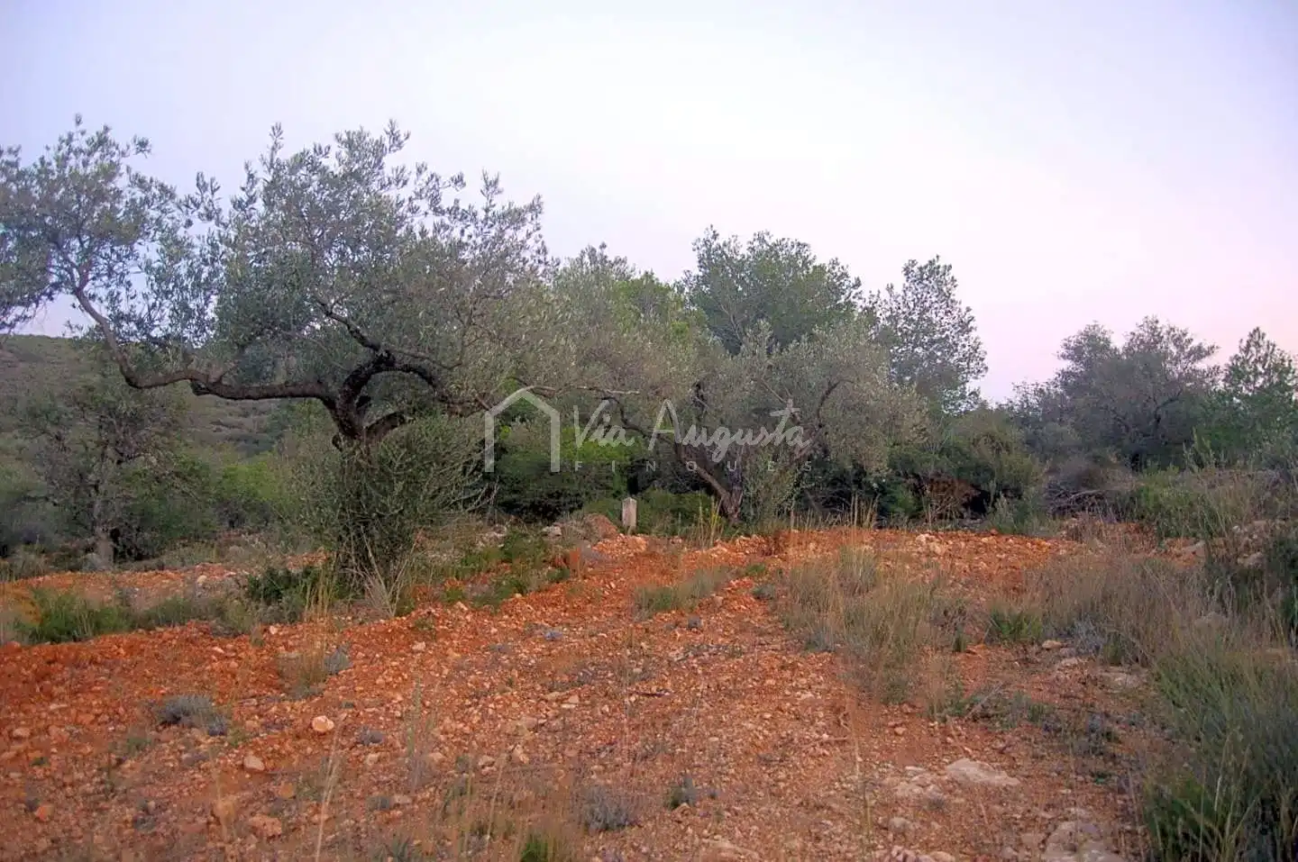 Terreno rustico in vendita a Suis, imagen 13