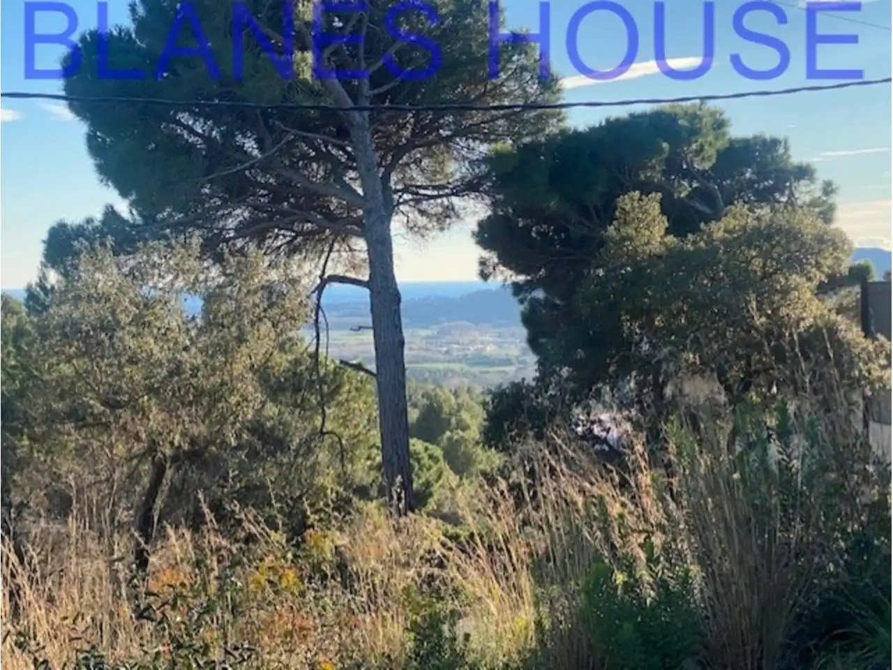 Terreno rustico in vendita a Calle Sensitiva, imagen 9