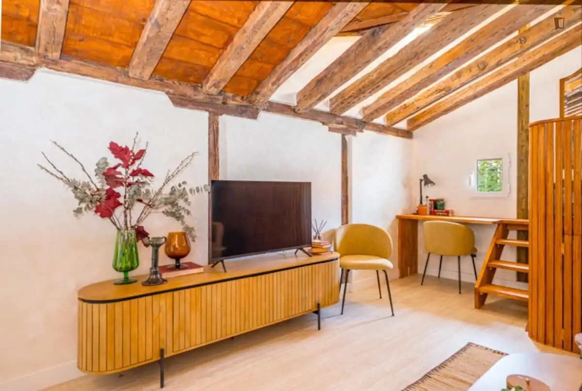 Sala d'estar de Estudi de lloguer en Madrid amb Aire condicionat, Calefacció i Moblat