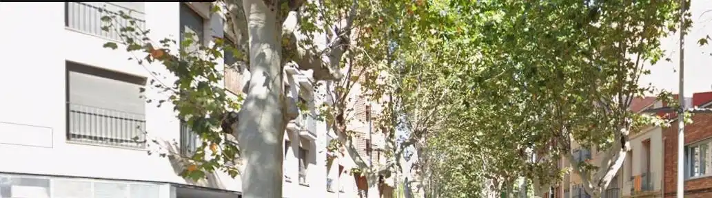 Vista exterior de Piso en venta en Sant Boi de Llobregat con Balcón
