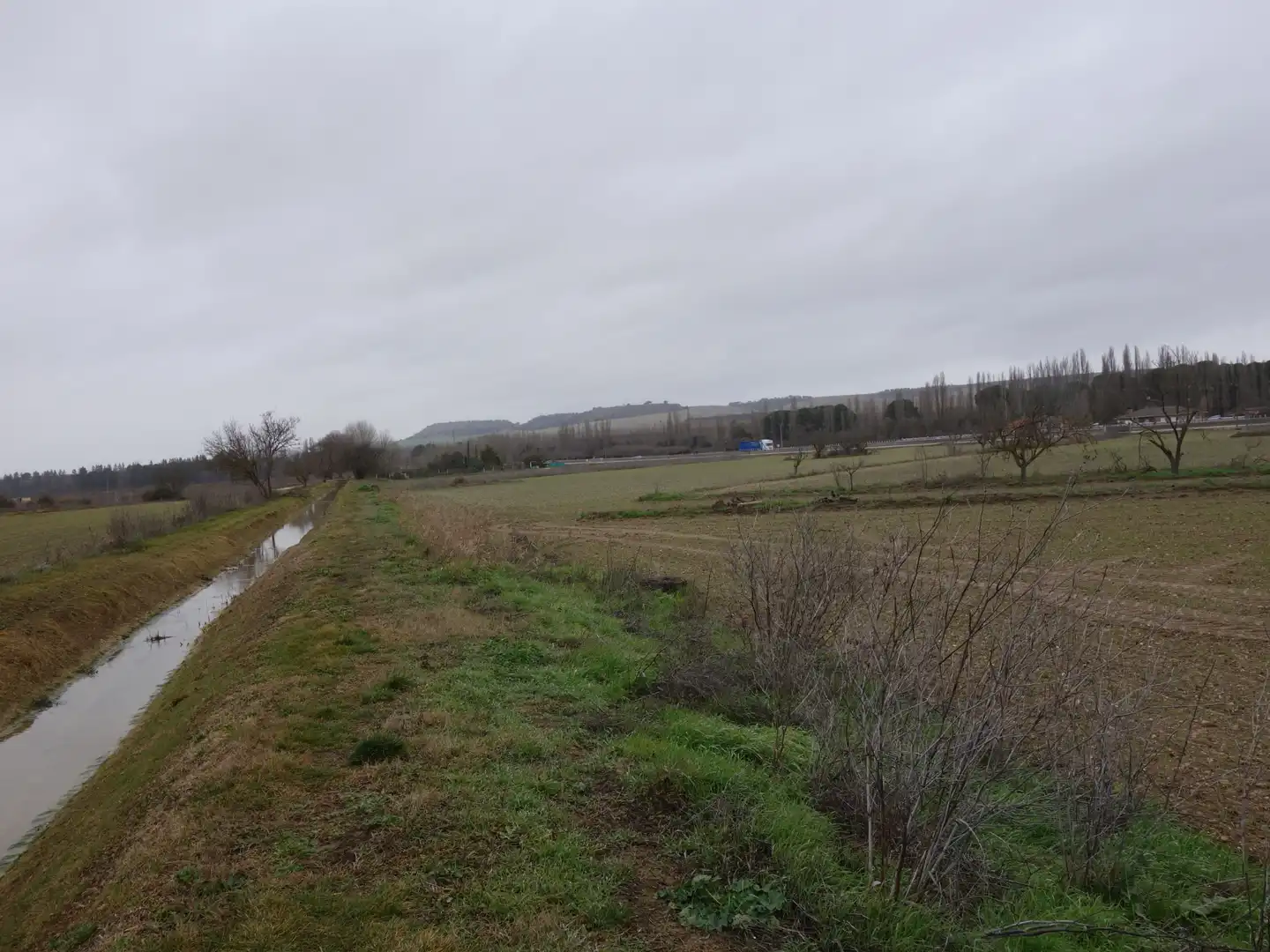 Terreno rustico in vendita a Tudela de Duero, imagen 10