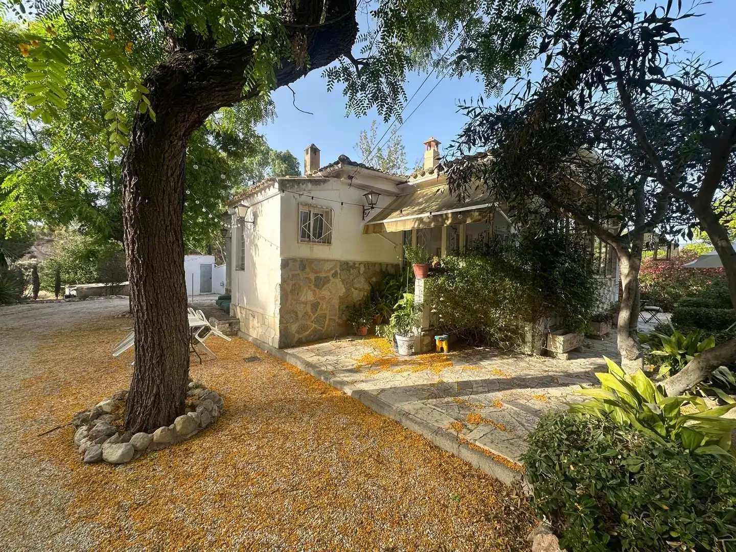 Vista exterior de Casa o xalet en venda en Monóvar  / Monòver amb Jardí privat