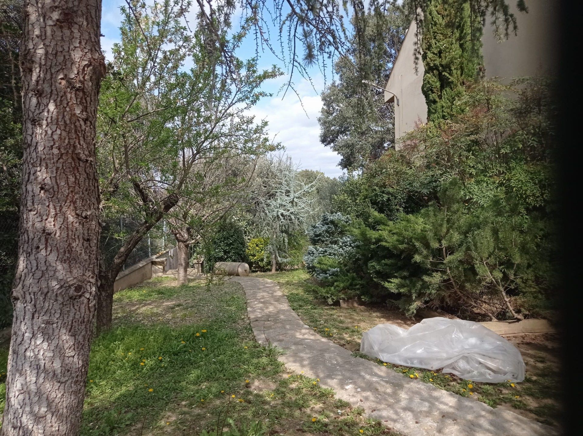 Jardín de Residencial en venta en Monzón