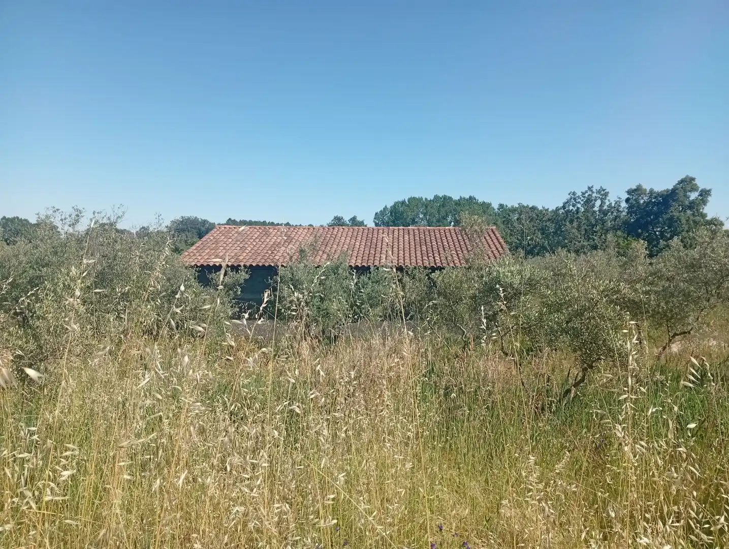Maison à vendre à Villanueva de la Vera, imagen 78