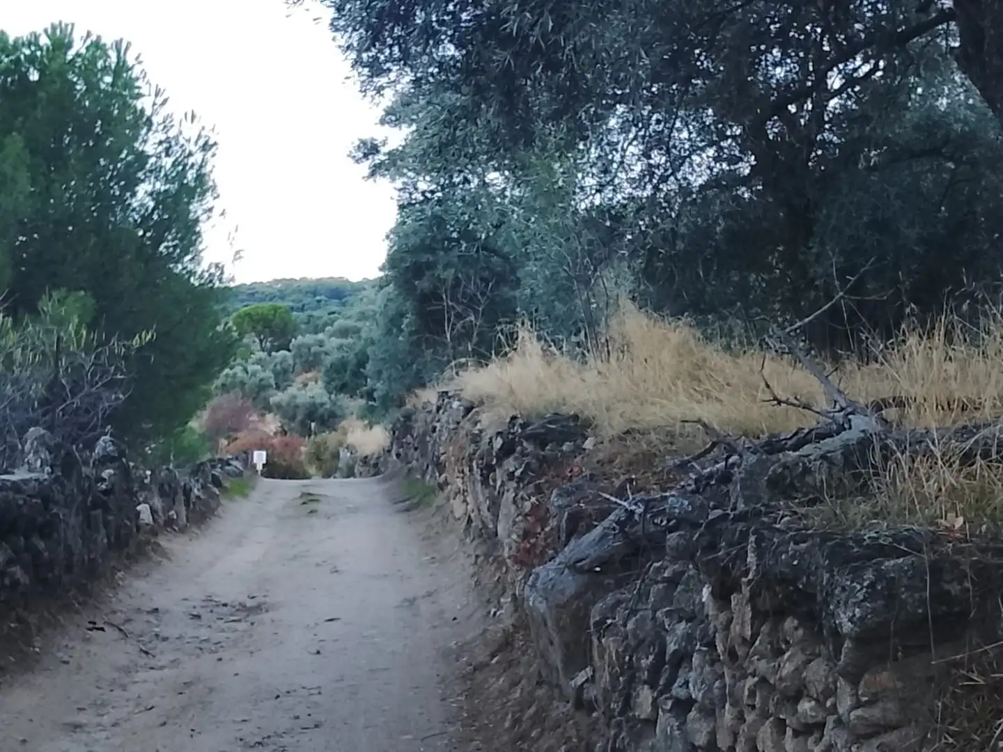 Terreni e lotti in vendita a El Hoyo de Pinares, imagen 12