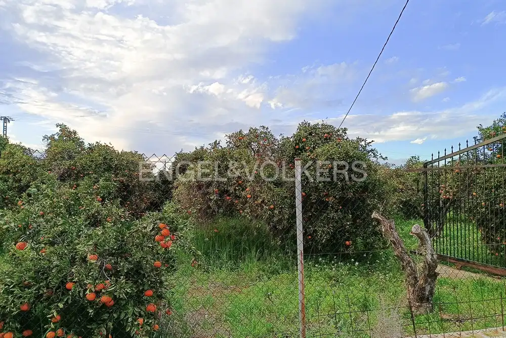Terreno rustico in vendita a Las Marinas / Les Marines, imagen 4