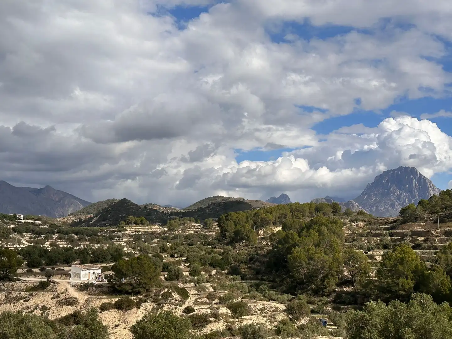 Vista exterior de Finca rústica en venta en Relleu con Calefacción y Jardín privado
