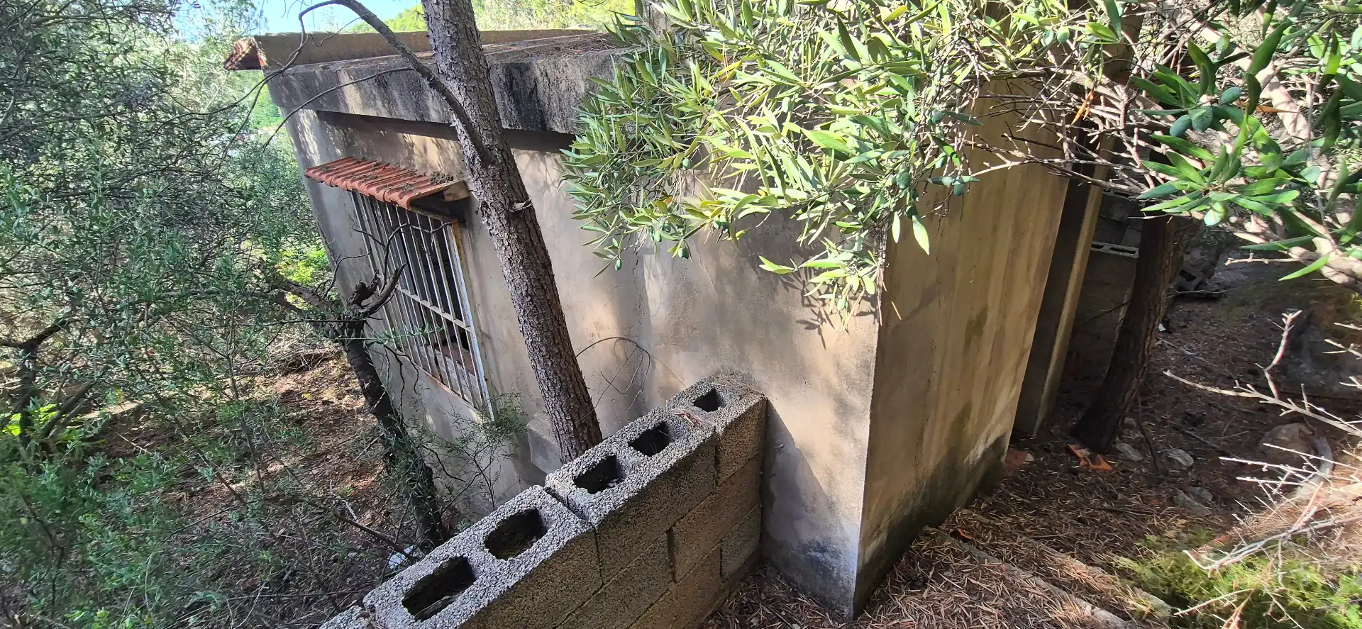 Vista exterior de Finca rústica en venta en El Real de Gandia con Jardín privado, Terraza y Trastero