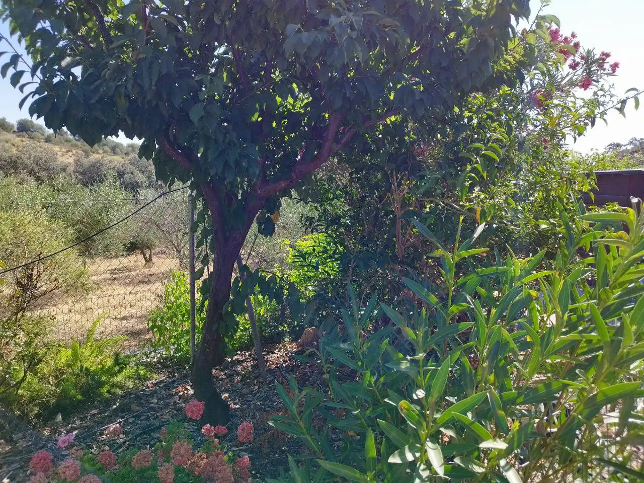 Detached house with garden for sale in El Castillo de las Guardas, imagen 24