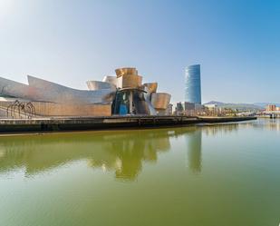 Vista exterior de Oficina en venda en Bilbao  amb Aire condicionat