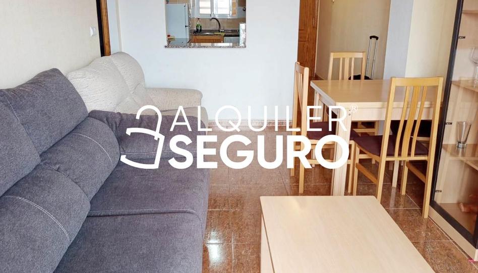 Photo 1 of Flat to rent in Caritas, Parque Acuático - Sector 25, Alicante