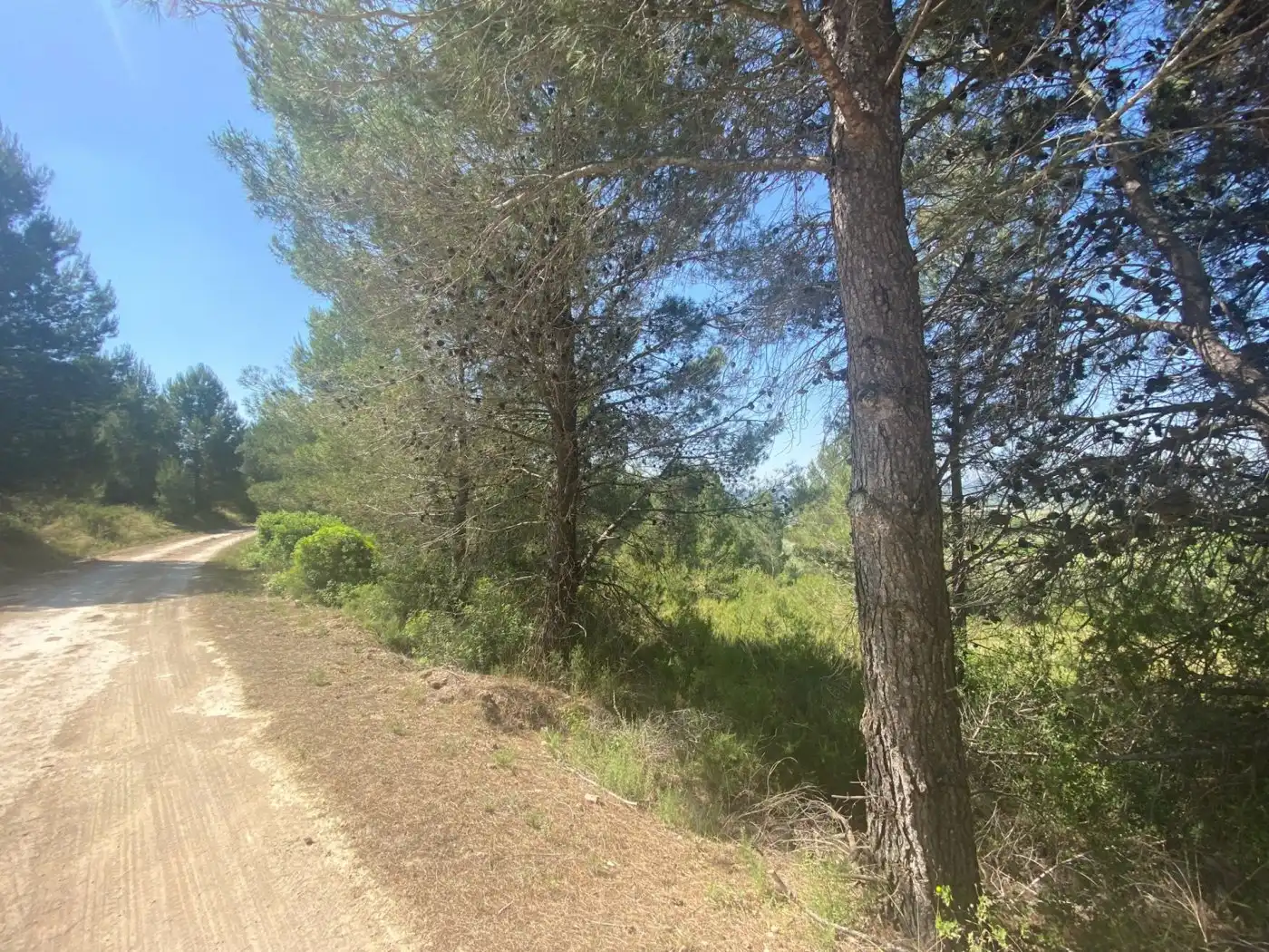 Terreno rustico in vendita a POLÍGONO 10 PARCELA 493, imagen 28