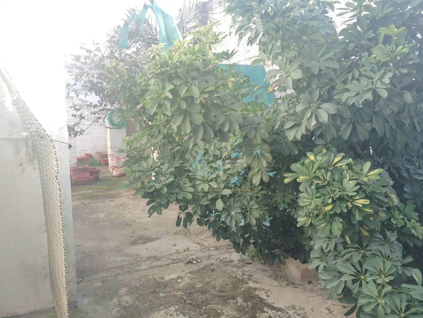 Casa con giardino in vendita a Brenes, imagen 17