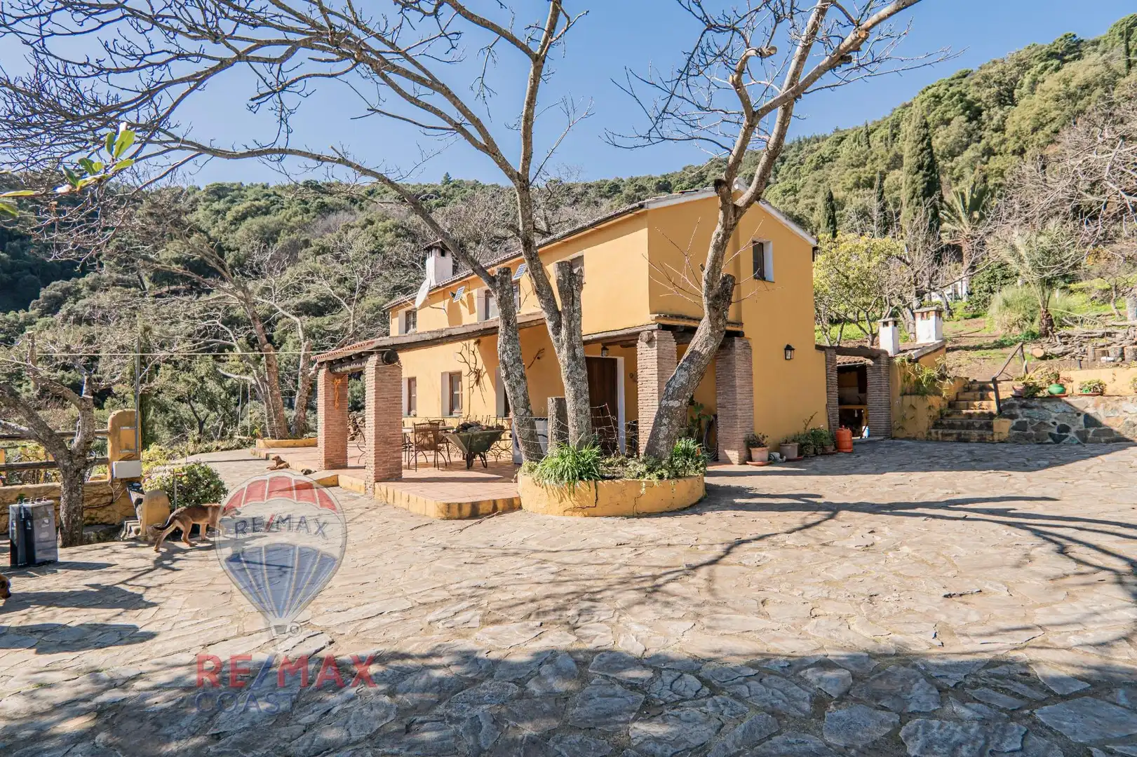 Vista exterior de Finca rústica en venta en Jubrique con Jardín privado, Terraza y Piscina