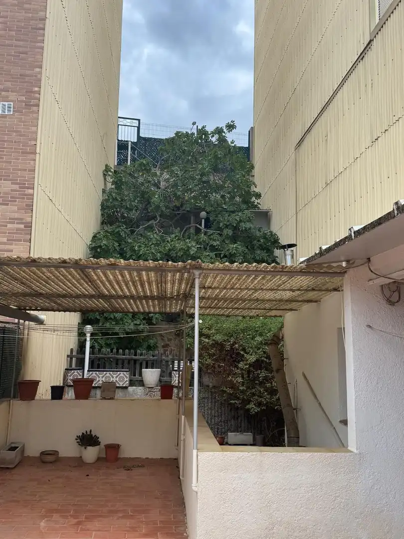 Terraza de Casa o chalet en venta en Mercat - Mas Moixa