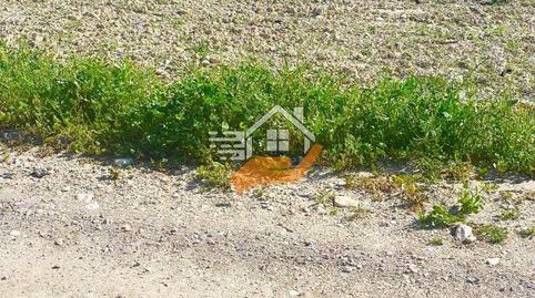 Foto 5 de Residencial en venta en La Tova, Murcia