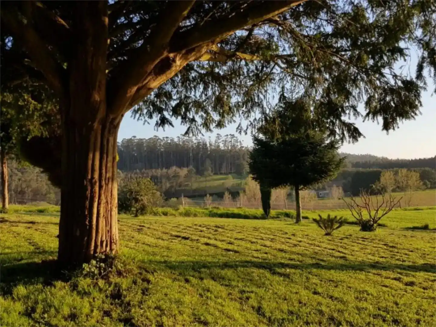 Vista exterior de Finca rústica en venta en Monfero con Jardín privado