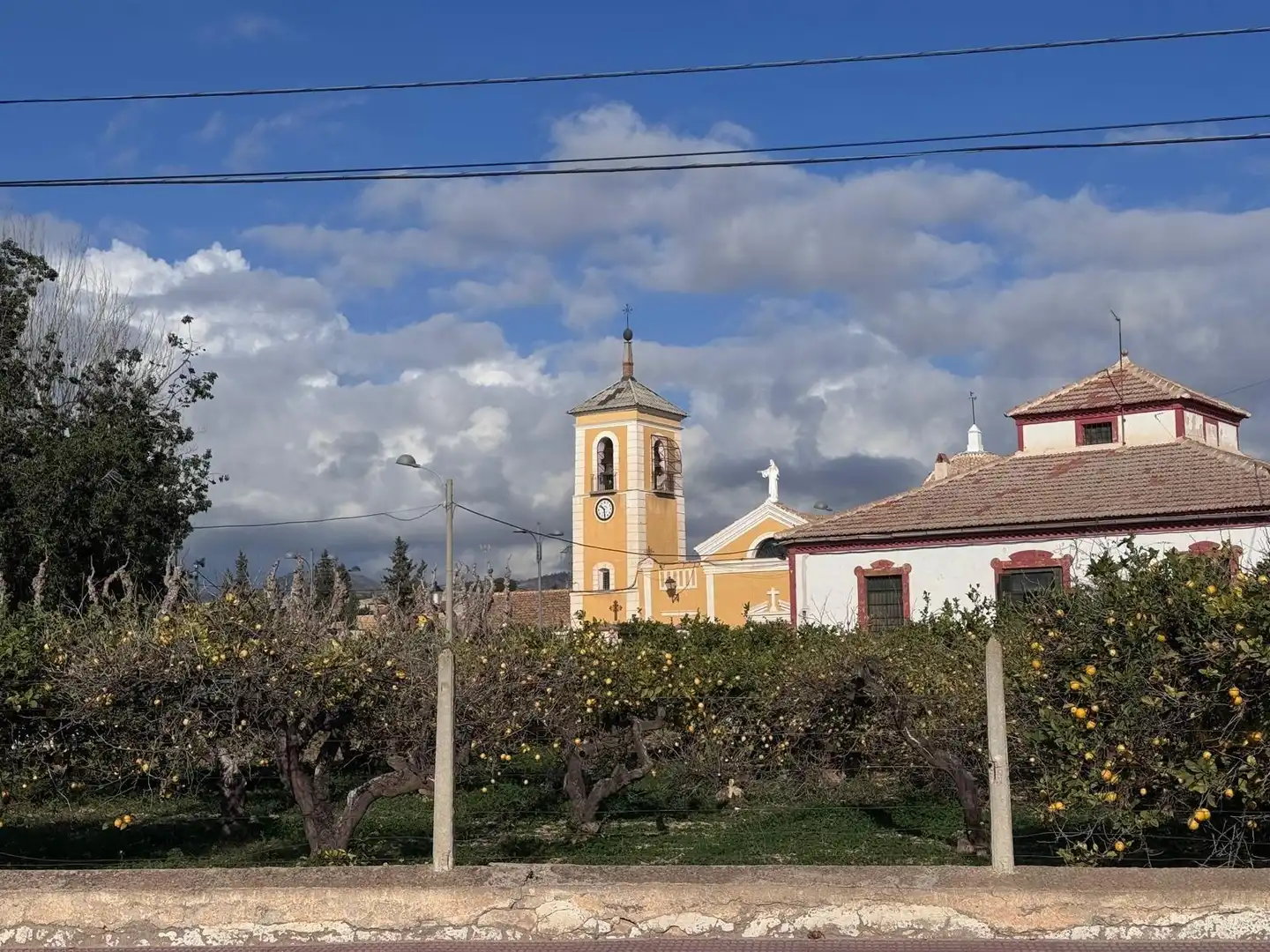 Exterior view of Houses for sale in  Murcia Capital  with Private garden