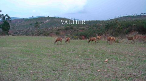 Foto 3 de Terreno en venta en N/a, Henarejos, Cuenca