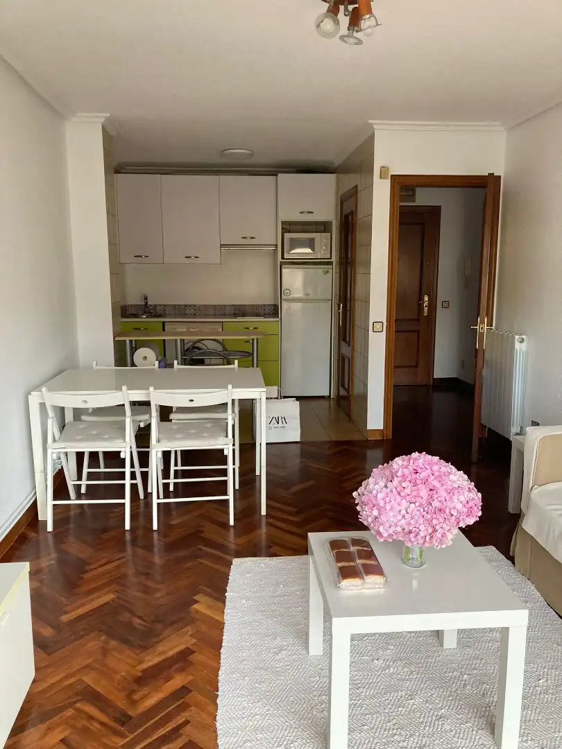 Cuina de Apartament de lloguer en Santander amb Parquet, Terrassa i Moblat