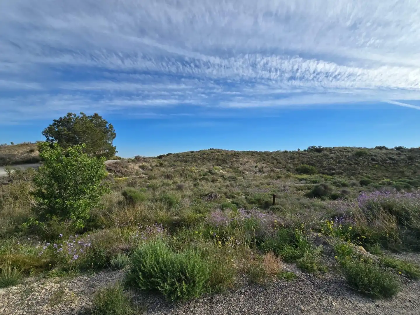 Terreno en venta en Polígono POLIGONO 5, PARCELA 469, CAÑADA DE LA HUR, 5, Centro
