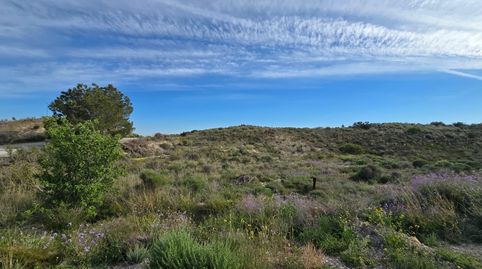 Photo 5 of Land for sale in Polígono Poligono 5, Parcela 469, Cañada de la Hur, 5, Centro, Molina de Segura