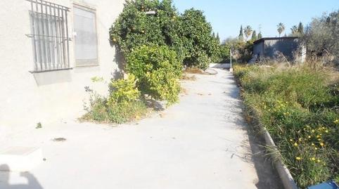 Foto 4 de Finca rústica en venda a La Algoda - Matola - Llano de San José, Elche / Elx