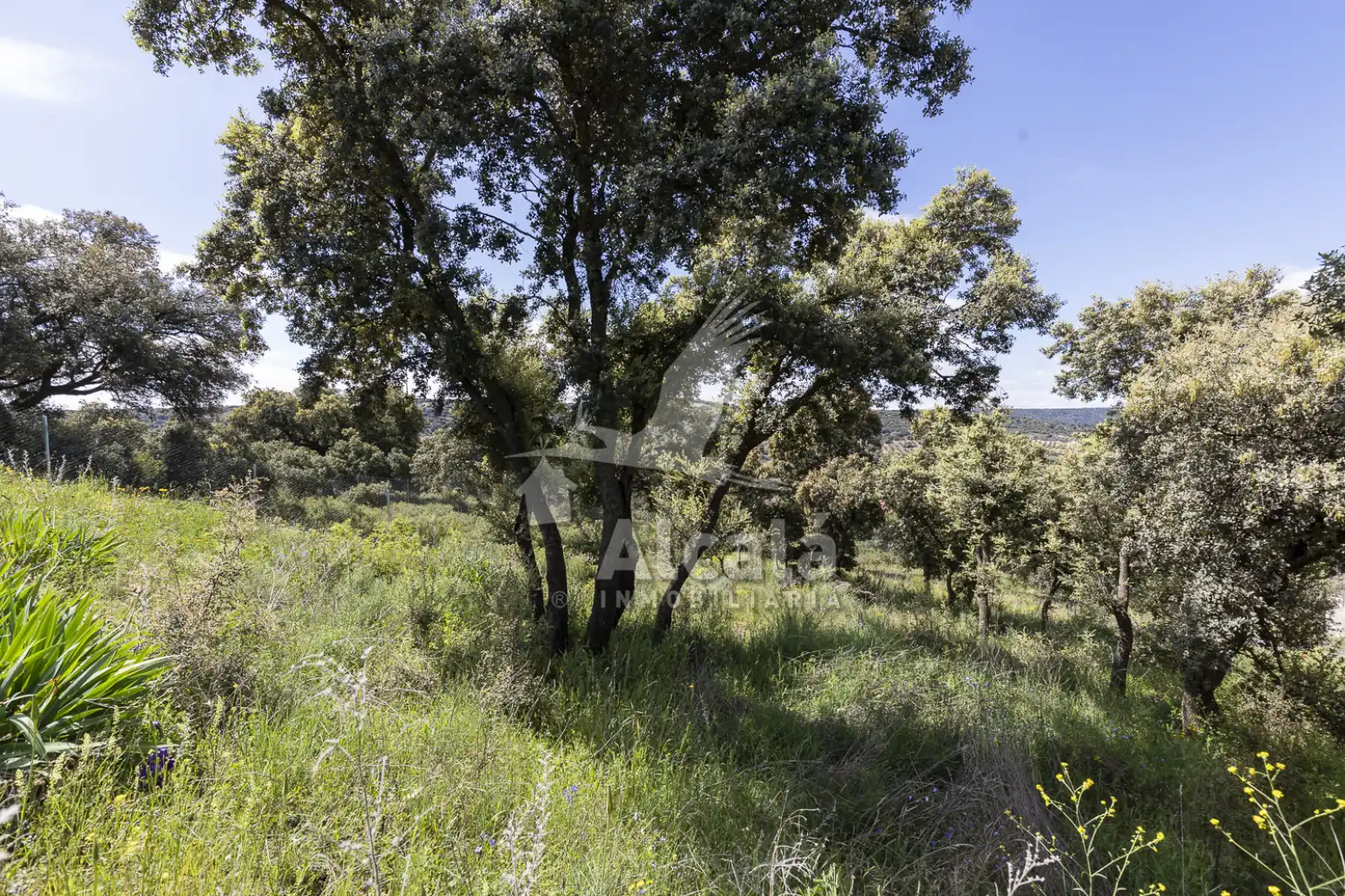 Residential land for sale in Fuentenovilla, imagen 34