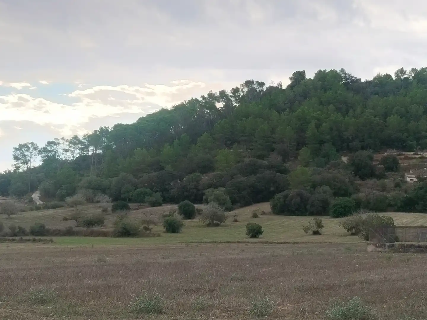 Terreno rustico in vendita a Sineu, imagen 4