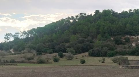 Foto 4 de Terreno en venta en Sineu, Illes Balears