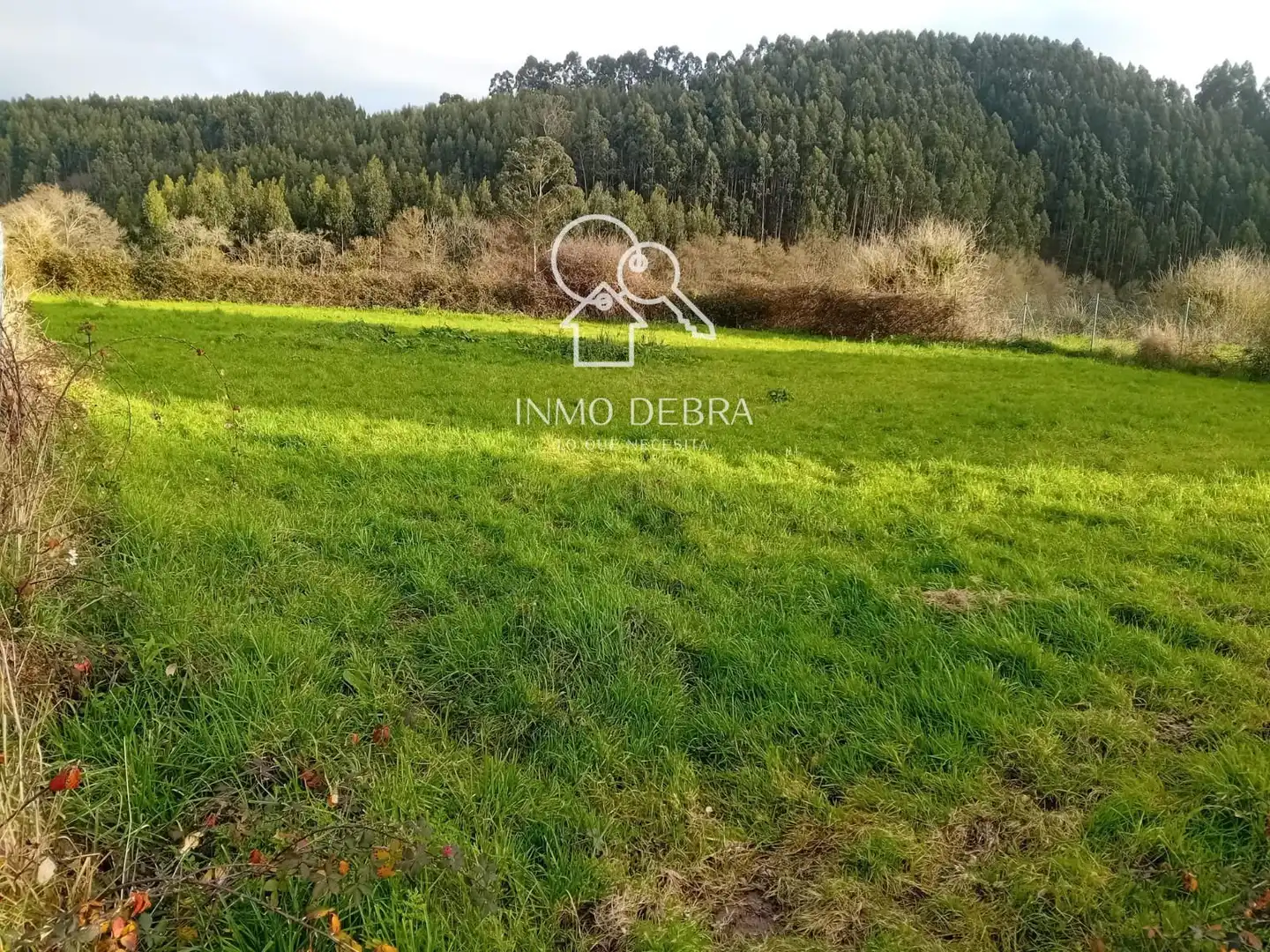 Terrain rustique à vendre à Santa María del Mar - El Puerto, imagen 4