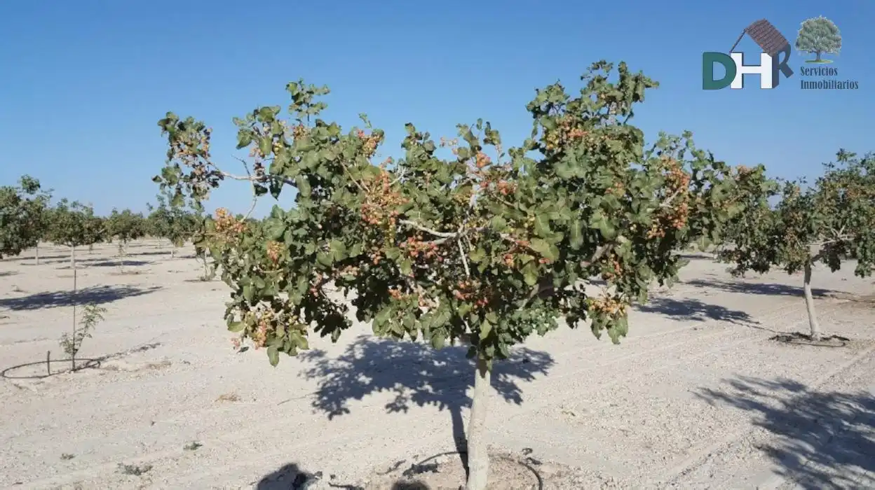 Terrenys i solars en venda a Los Cigarrales - La Bastida, imagen 8