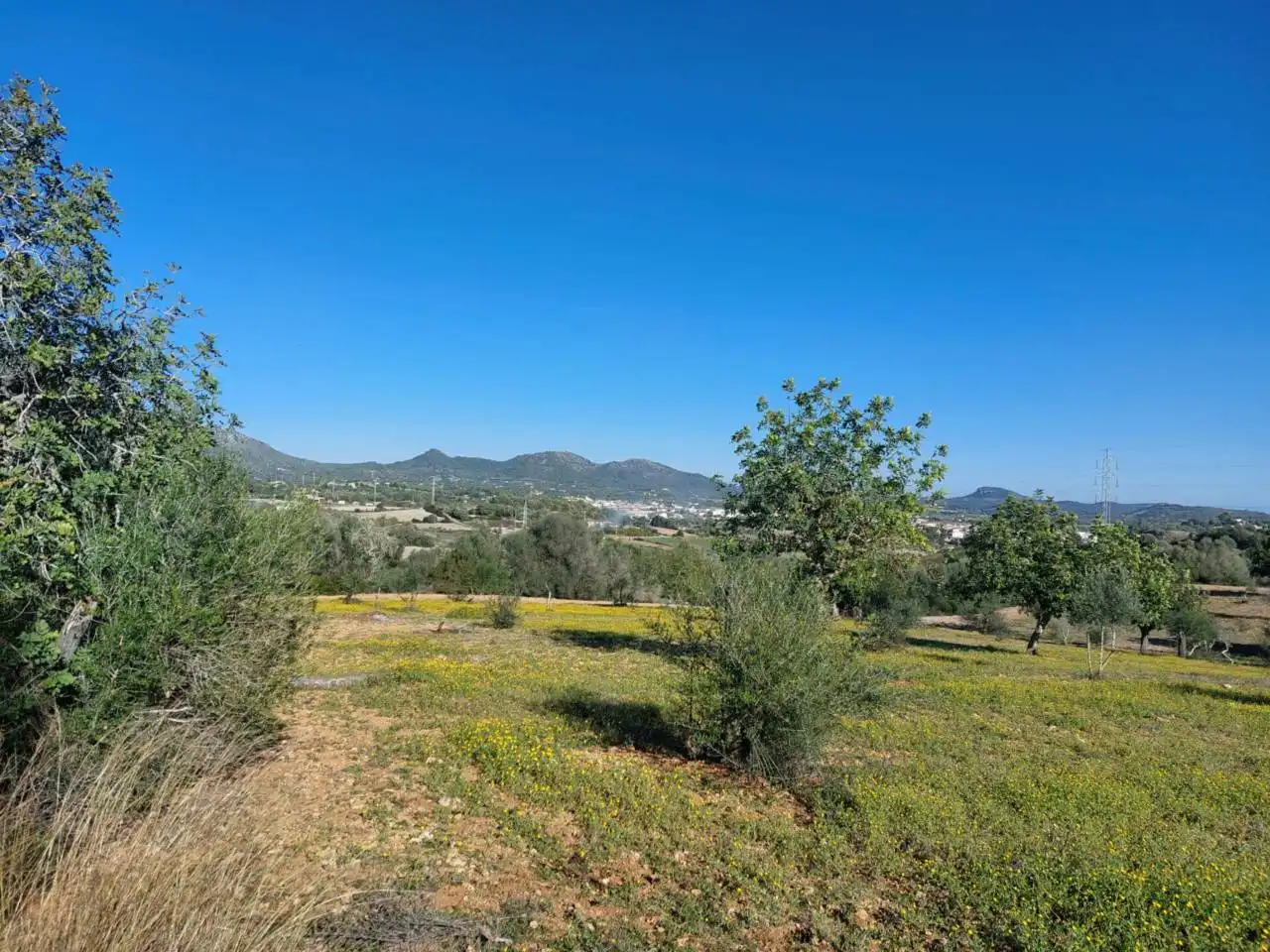 Rural land for sale in Poligono 5 723, imagen 31