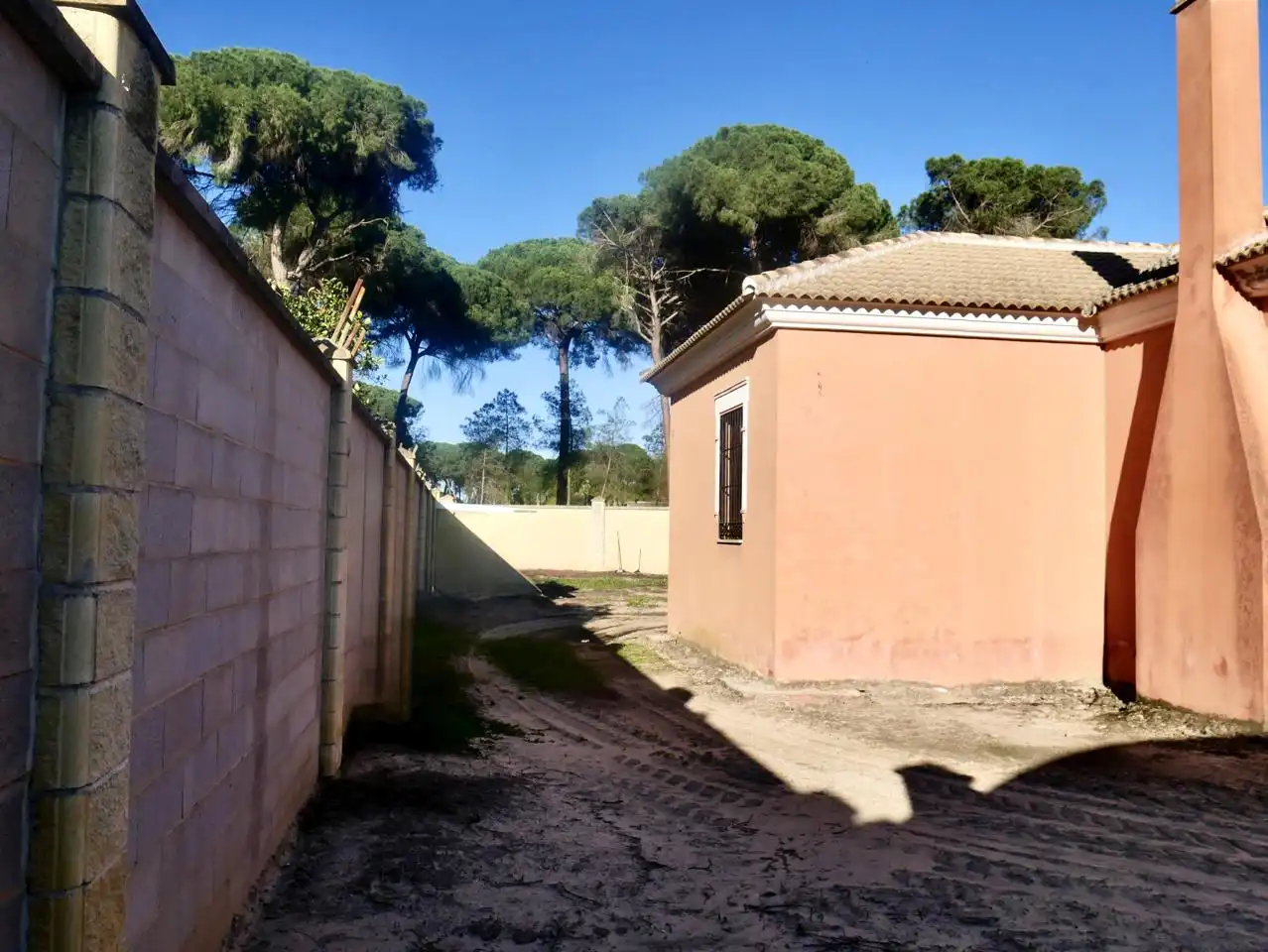 Jardí de Casa o xalet en venda en Hinojos amb Jardí privat i Moblat