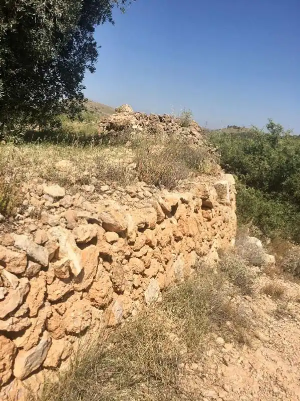 Terreny rústic en venda a Ctra. Algueña, imagen 3