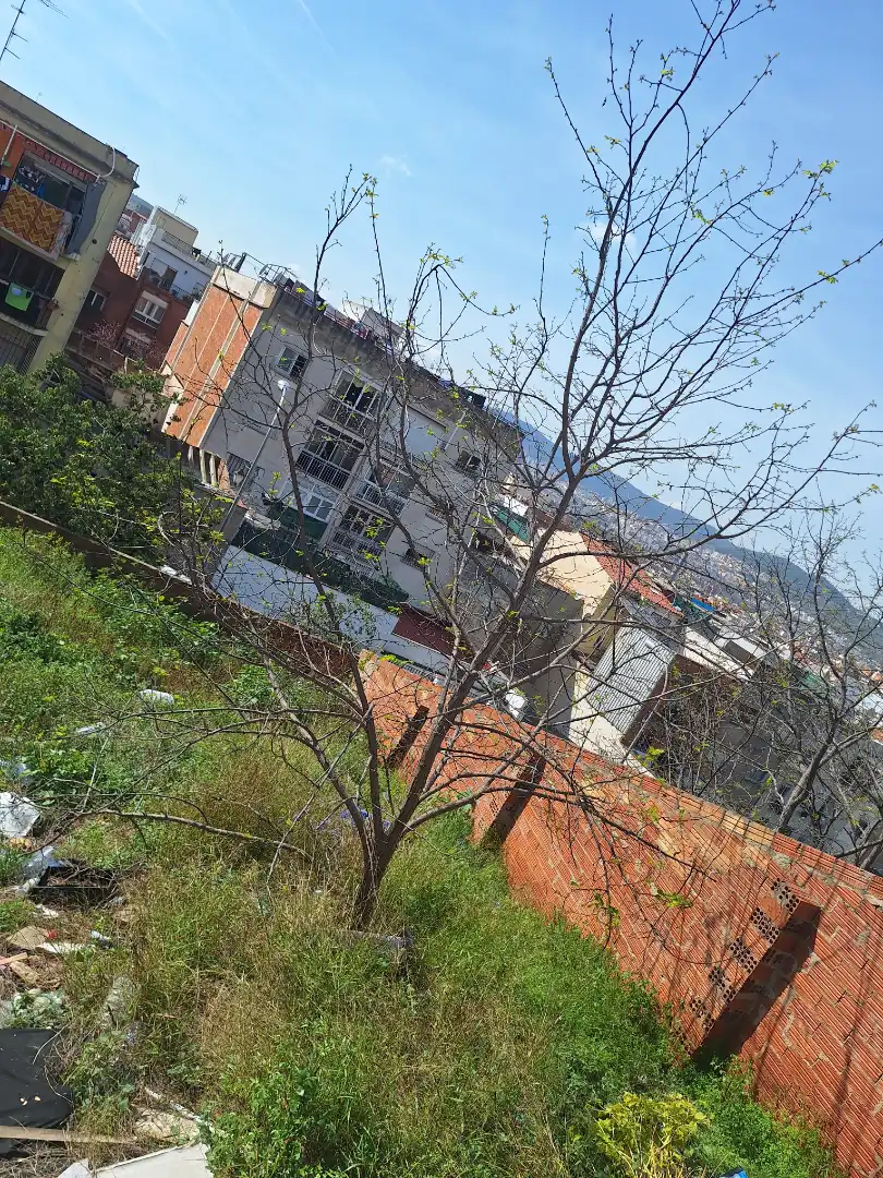 Terreno residencial en venta en Carrer Linares 10, imagen 8