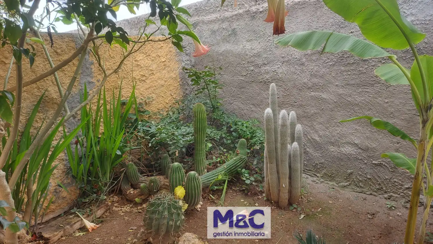 Casa o xalet en venda a de Salort, 151, El Catllar