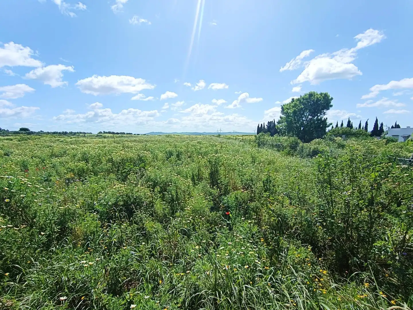 Terreno residenziale in vendita a Los Franceses – La Vega, imagen 6