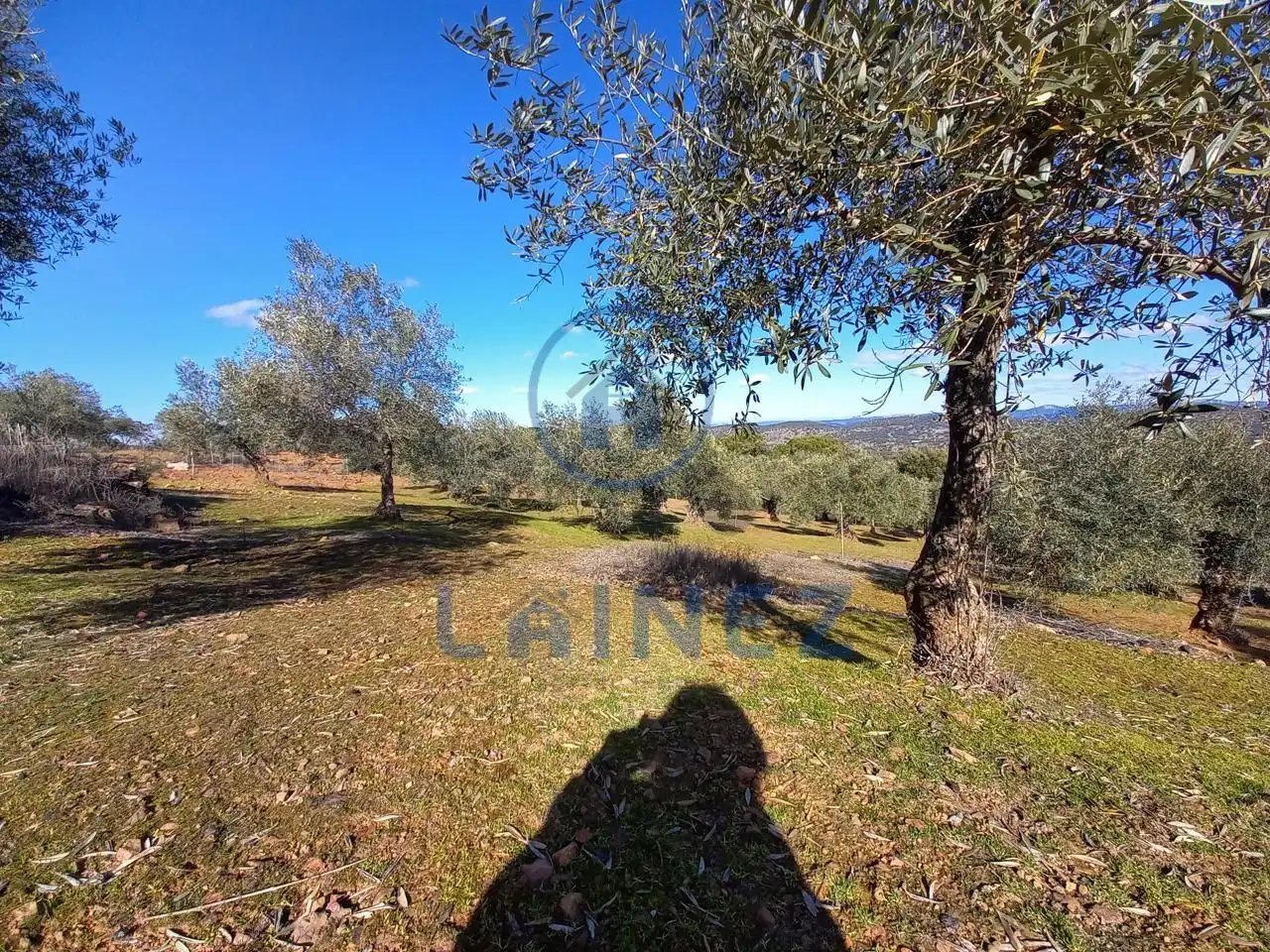 Terreno residenziale in vendita a Villanueva del Rey, imagen 52