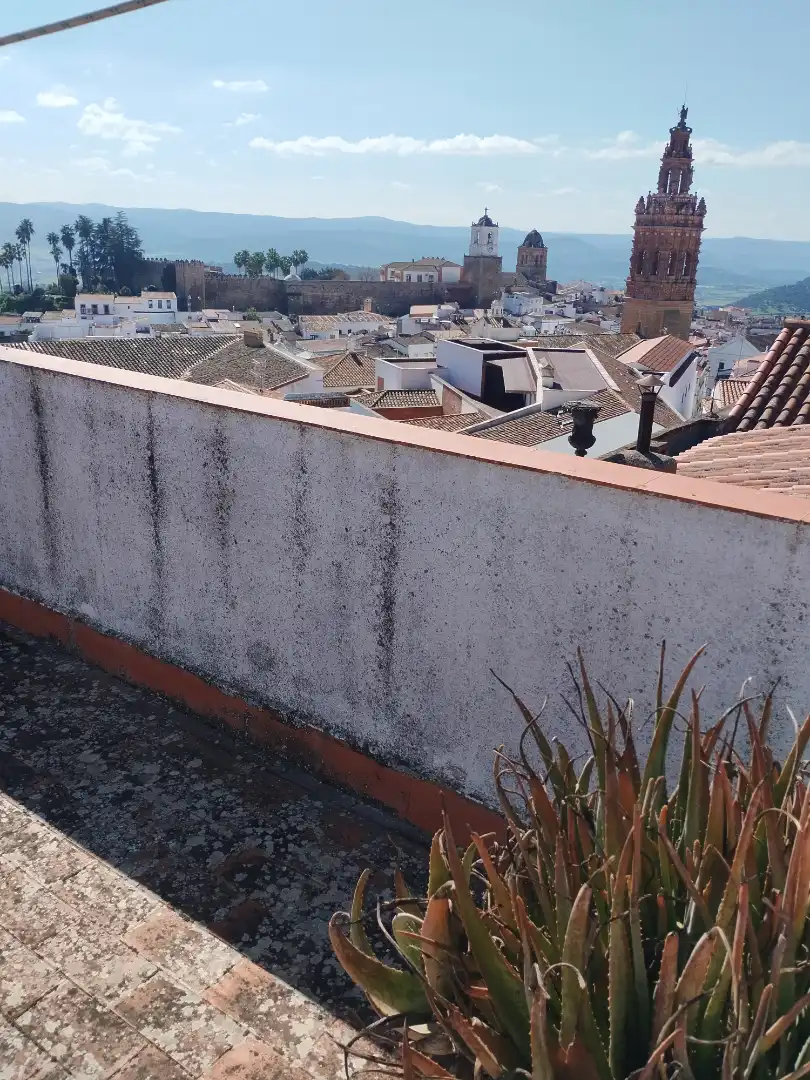 Piso con terraza en venta en Jerez de los Caballeros, imagen 24