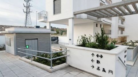 Photo 3 of Apartments for rent in Guadalupe, Murcia Capital