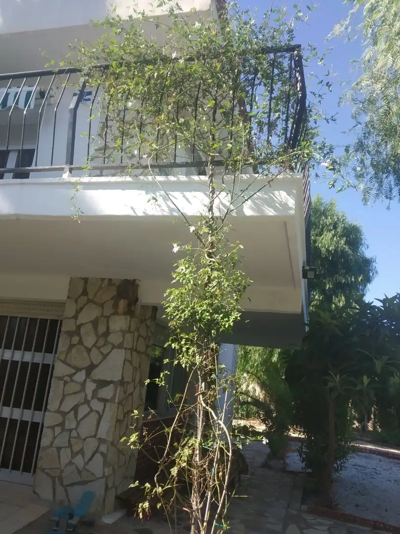 Piso de alquiler en Carrer Pintor Zurbarán, 1, Salafranca - Lloixa