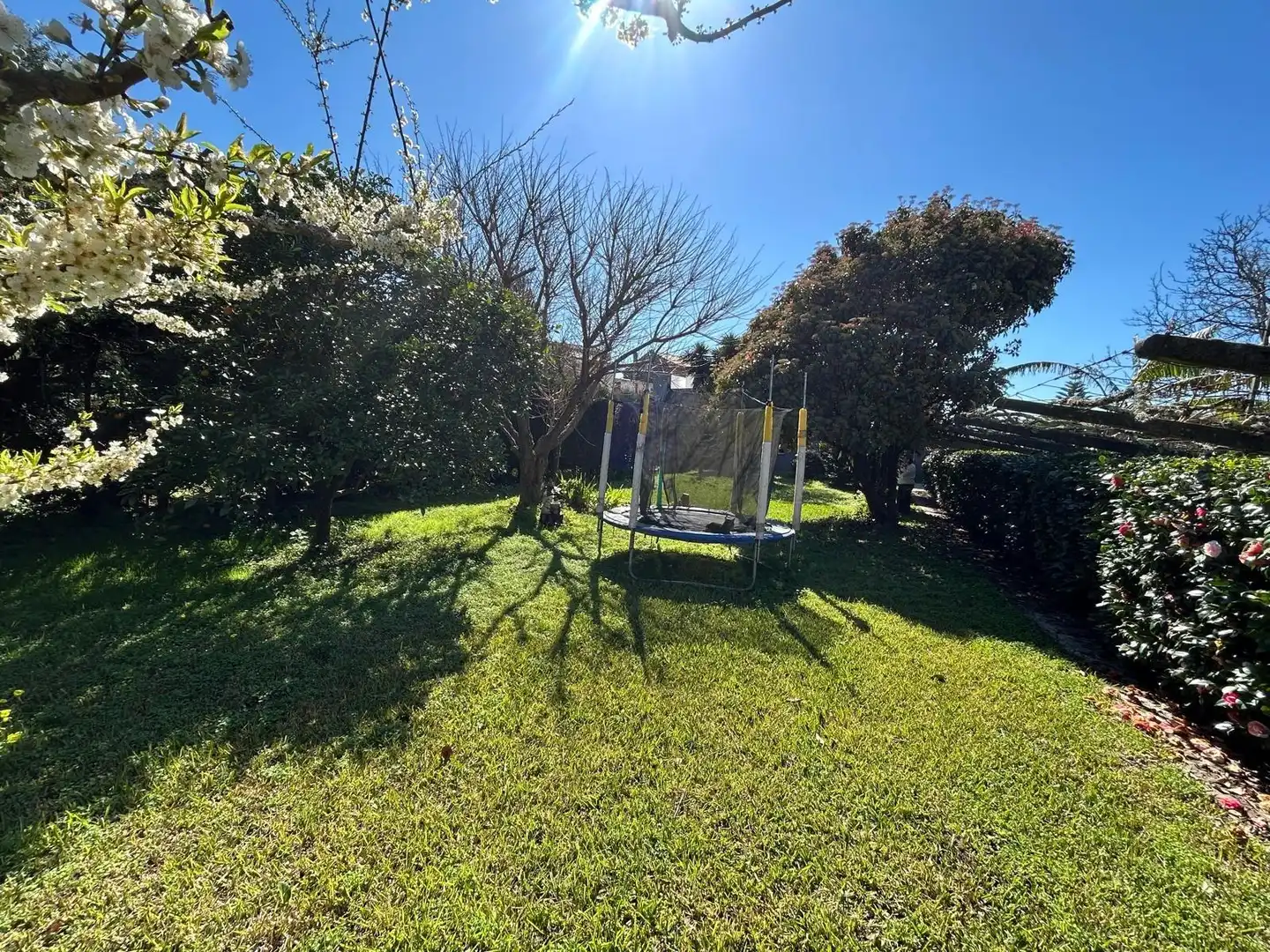 Jardí de Casa o xalet en venda en Boiro amb Calefacció, Terrassa i Traster