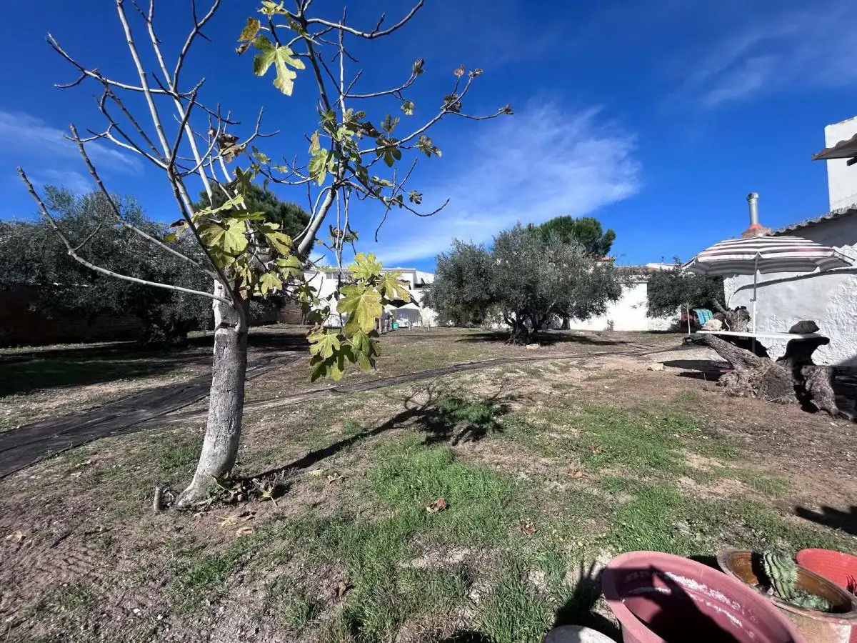 Casa en venda a Villanueva de Algaidas, imagen 4