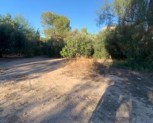 Finca rústica en venda en Las Torres de Cotillas amb Jardí privat, Terrassa i Traster